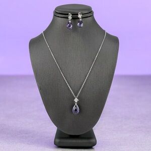 💜Sophisticated Silver and Purple Necklace Set💜